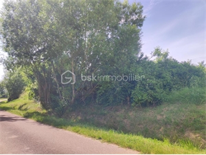 terrain à la vente -   89600  SAINT FLORENTIN, surface 2530 m2 vente terrain - UBI473581934